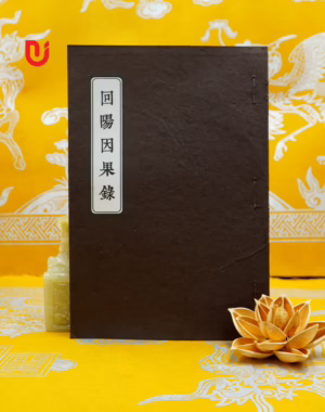 Hồi Dương Nhân Quả Lục