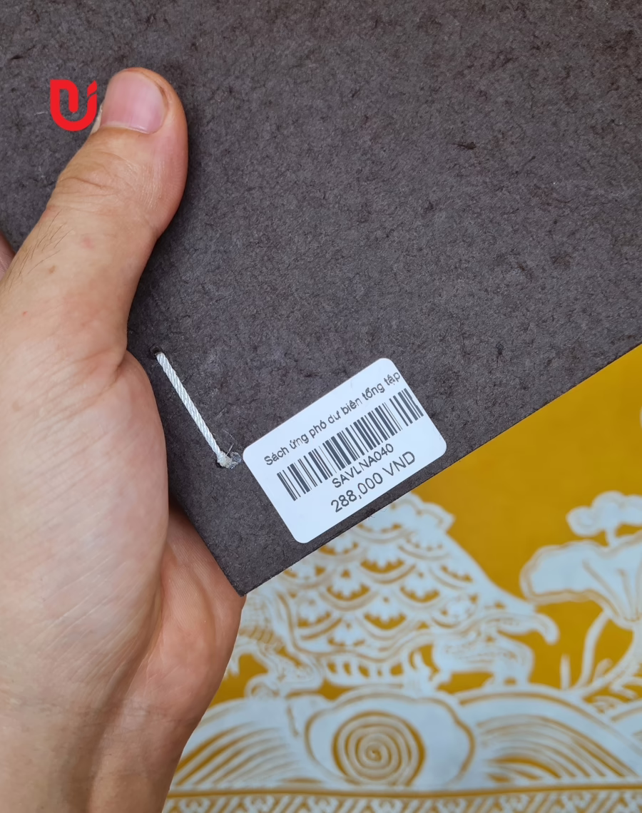 Ứng phó dư biên tổng tập - Ảnh 2