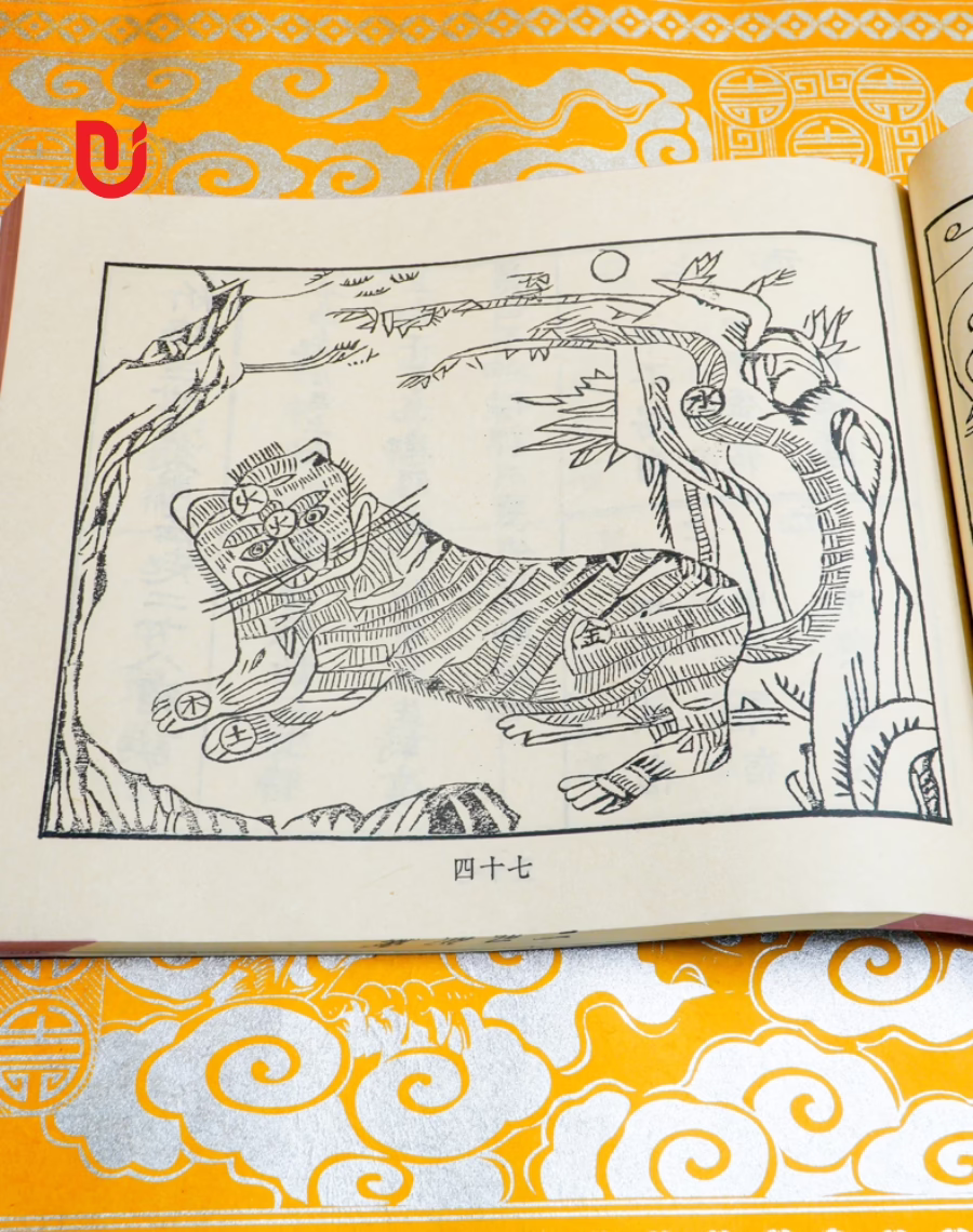 Tam Thế Diễn Cầm - Ảnh 5