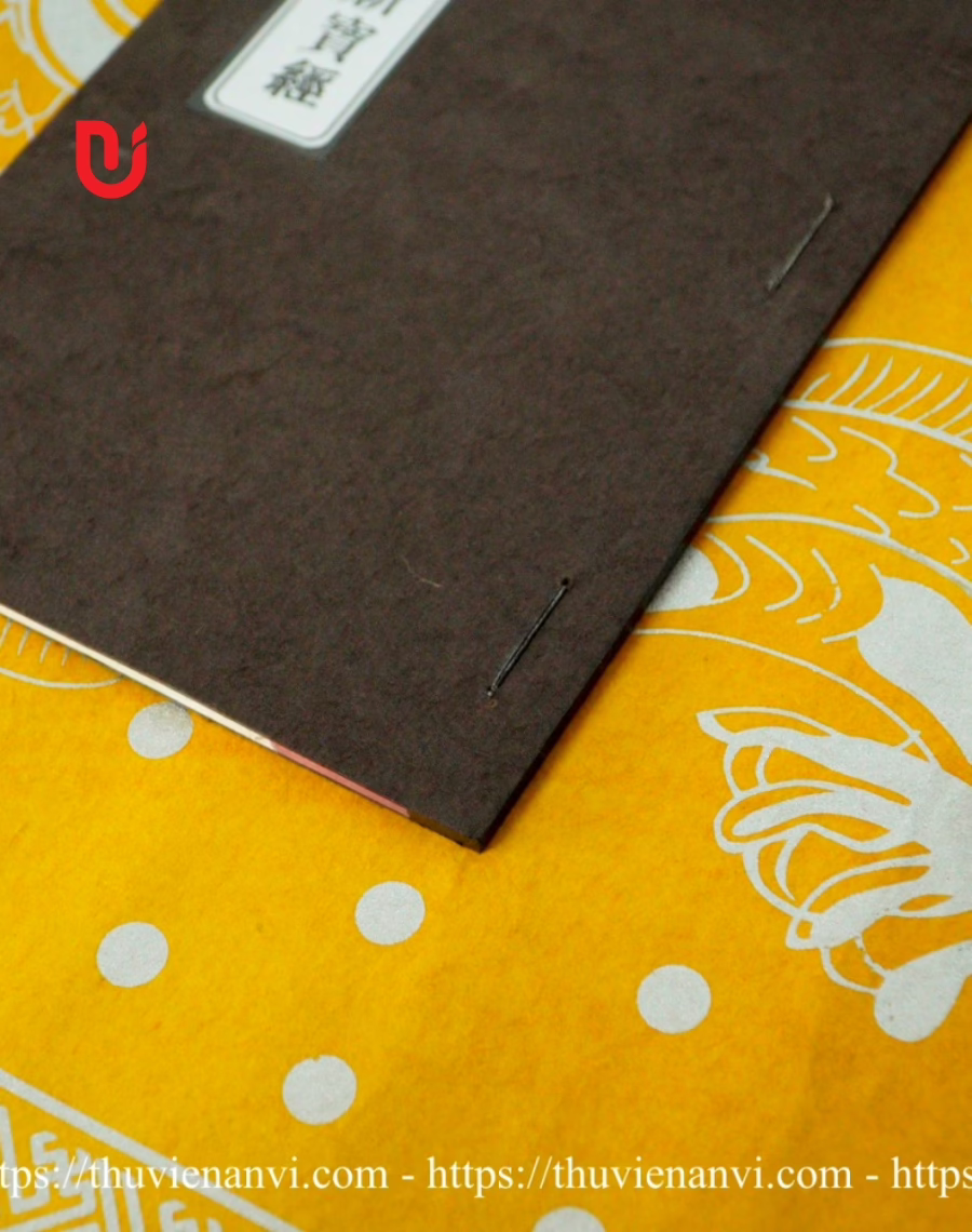 Trần Triều Tam Giới Động Kỳ Bảo Kinh - Ảnh 4